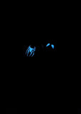 NO.474 Handmade Spiderman Custom Press On Nails Glow in the Dark Nail Art Amourwa