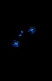 NO.474 Handmade Spiderman Custom Press On Nails Glow in the Dark Nail Art Amourwa